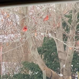 Meet your Posher, Derek